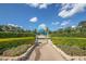 Formal garden leading to a large globe, featuring manicured hedges at 2441 Persian Dr # 53, Clearwater, FL 33763