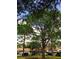 A wooded area featuring tall pines, trees, and covered parking, plus a view of blue sky at 2567 Bentley Dr, Palm Harbor, FL 34684