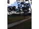 View of a gravel path leading through a wooded area, plus tall trees and foliage at 2567 Bentley Dr, Palm Harbor, FL 34684