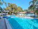 A community pool surrounded by chairs and greenery, offering a refreshing outdoor space for residents to enjoy at 300 Glennes Ln # 208, Dunedin, FL 34698