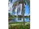 Scenic view of a pond with lily pads, palm trees, and surrounding community buildings at 10263 Gandy Blvd # 2314, St Petersburg, FL 33702