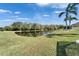 Picturesque view of pond from the backyard, offering a tranquil setting at 1228 Caloosa Creek Ct, Sun City Center, FL 33573