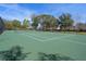 Community tennis court with a well-maintained green surface and a surrounding fence at 13351 Crest Lake Dr, Hudson, FL 34669