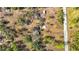 Aerial view of a property with a house and overgrown vegetation, displaying the landscape at 13386 Taylor St, Brooksville, FL 34613