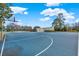 Basketball court with markings and hoops at 17112 Downs Dr, Odessa, FL 33556