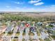 Neighborhood aerial view of trees, landscaped yards, and cul-de-sac street at 20033 Heritage Point Dr, Tampa, FL 33647