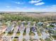 Neighborhood aerial view of trees, landscaped yards, and cul-de-sac street at 20033 Heritage Point Dr, Tampa, FL 33647