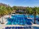 Aerial view of the community pool with lap lanes, surrounded by palm trees and lounge chairs at 29197 Perilli Pl, Wesley Chapel, FL 33543