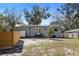 View of the fenced backyard featuring a well-maintained lawn, solar panels, and a small palm tree at 3087 Duane Ave, Oldsmar, FL 34677