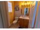 Well-lit bathroom with vanity, toilet, and decorative heron accents at 3244 Mangrove Point Dr, Ruskin, FL 33570