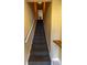 Carpeted stairway leading up to the living area, with a convenient handrail at 3244 Mangrove Point Dr, Ruskin, FL 33570