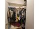 Ample closet space with shelves and hanging rods provide plentiful storage opportunities at 4425 Autumn Palm Dr, Zephyrhills, FL 33542