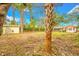 View of expansive backyard showcasing mature trees, lush landscaping, shed, and home at 4636 W Longfellow Ave, Tampa, FL 33629