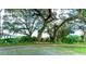 Landscaped area with mature oak trees at 5330 Dean Dairy Rd, Zephyrhills, FL 33541