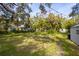 Spacious backyard featuring a well-maintained lawn and mature trees providing shade at 620 Scotland St, Dunedin, FL 34698