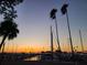 Tranquil sunset over a marina filled with sailboats and yachts, framed by palm trees at 620 Scotland St, Dunedin, FL 34698