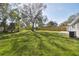 Wide shot of spacious, well-maintained backyard featuring lush grass and mature trees at 8303 Croton Ave, Tampa, FL 33619