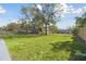 View of the spacious backyard featuring healthy green grass and mature trees at 8303 Croton Ave, Tampa, FL 33619