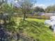 Lush backyard featuring a large tree, well-maintained lawn, and mixed fencing at 8303 Croton Ave, Tampa, FL 33619