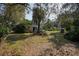 Large backyard with mature trees and a shed at 9810 Parsons St, Tampa, FL 33615