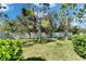 Spacious fenced backyard with lush green grass and mature trees offering privacy at 12973 Dream Catcher Way, Riverview, FL 33579