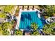 Aerial view of a community lap pool with palm trees and lounge areas at 3852 Sorrel Vine Dr, Wesley Chapel, FL 33544