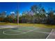 Outdoor basketball court featuring a green playing surface and a standard hoop, set against a backdrop of trees at 9987 85Th Way, Seminole, FL 33777