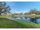 Picturesque pond view, showcasing lush green grass leading to the water, and neighboring homes at 27045 Firebush Dr, Wesley Chapel, FL 33544