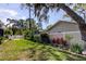 Landscaped backyard with privacy fence, shade trees, and lush tropical greenery at 3089 Enisglen Dr, Palm Harbor, FL 34683