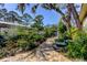 View of brick paver path in backyard surrounded by lush, mature landscaping with a water feature at 3089 Enisglen Dr, Palm Harbor, FL 34683
