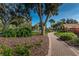 Paver walkway through beautifully landscaped grounds, creating a peaceful and inviting ambiance at 3546 Birkdale Ln, Palm Harbor, FL 34684