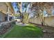 Landscaped backyard with green lawn and shade trees next to the home's porch at 4610 W Browning Ave, Tampa, FL 33629
