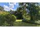 Lush backyard with a large grassy area, surrounded by mature trees and shrubbery at 7608 Chenkin, Zephyrhills, FL 33540