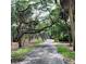 Scenic view of a tree-lined path, perfect for leisurely strolls and enjoying nature at 8139 38Th N Ave, St Petersburg, FL 33710