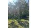 Lush backyard featuring mature trees and landscaping at 8541 Hunters Key Cir, Tampa, FL 33647