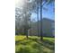 Spacious backyard features well-maintained lawn with mature trees at 8541 Hunters Key Cir, Tampa, FL 33647