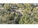 A high angle view showing the property, with lush foliage and mature trees surrounding it at 9318 Heritage Oak Ct, Tampa, FL 33647