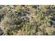 An aerial view of a property nestled among trees and a well-maintained backyard at 9318 Heritage Oak Ct, Tampa, FL 33647