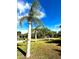 Street view of the home's landscaped front yard with palm trees, enhanced by a clear blue sky at 1101 Canal St, Ruskin, FL 33570