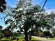 Large tree and lawn are features of this property at 1101 Canal St, Ruskin, FL 33570