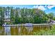 Aerial view of the lake dock with a passenger boat, lily pads, and surrounding trees at 1487 Dundee Dr, Palm Harbor, FL 34684