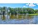 Scenic view of the lake with boats docked and trees lining the shoreline at 1487 Dundee Dr, Palm Harbor, FL 34684