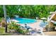 Community swimming pool with lounge chairs and lush landscaping at 1487 Dundee Dr, Palm Harbor, FL 34684