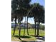 View of a baseball field with palm trees, fencing, and blue canopies at 3600 105Th N Ave, Clearwater, FL 33762