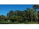 View of community entrance sign with manicured landscaping and lush palm trees at 3600 105Th N Ave, Clearwater, FL 33762