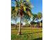 Exterior view of community green space with tall trees and a black metal fence at 3600 105Th N Ave, Clearwater, FL 33762