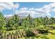 Scenic view of a well-manicured lawn and lush green trees, complemented by a community building at 5095 San Martino Dr, Wesley Chapel, FL 33543