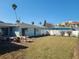 Backyard with palm trees, grass, white vinyl fence, and mature landscaping at 66 Kipling Plz, Clearwater Beach, FL 33767