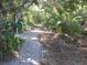 Paver path through lush landscaping in backyard at 1440 Hales Hollow Dr, Dunedin, FL 34698