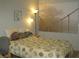 Bedroom with tropical themed art at 1440 Hales Hollow Dr, Dunedin, FL 34698